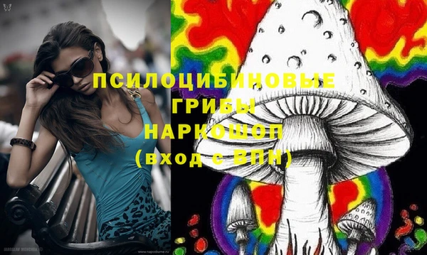 мет Корсаков